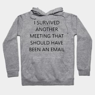 I survived another meeting Hoodie